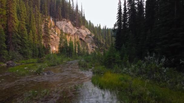 Waterfall Creek Forest Coming Closer — Vídeo de stock