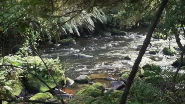 Continuous Flowing Water Rocky Shallow River Wilderness Wide Shot — Vídeo de Stock