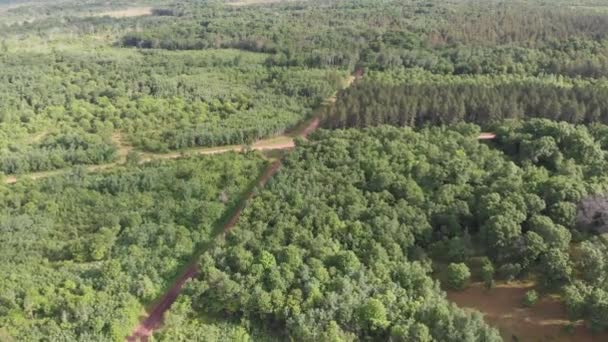 Пересечение Дорог Грязь Середину Лес Изолированных Сельских Потерял Дело Дьяволом — стоковое видео
