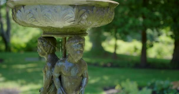 Фонтанная Вода Течет Элегантным Скульптурам Парке Солнечный День Close — стоковое видео