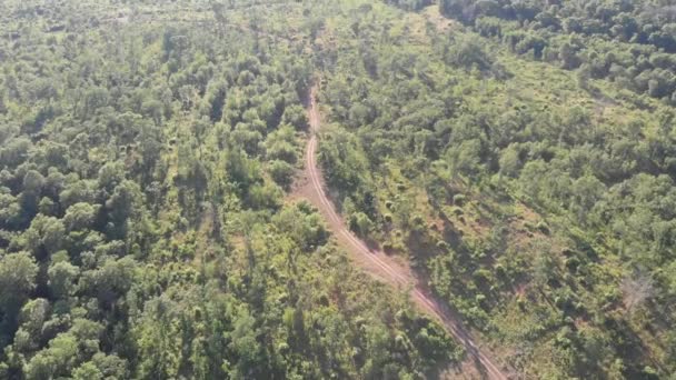 Лісова Стежка Поза Дорожнім Лісовим Полем Доступ Ізольований Американський Повітряний — стокове відео