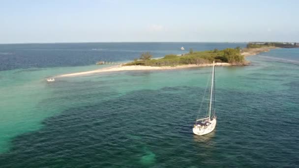 Sailboat Floating Shallow Sea Water Beautiful Coral Reef Bottom Tropical — Stock Video