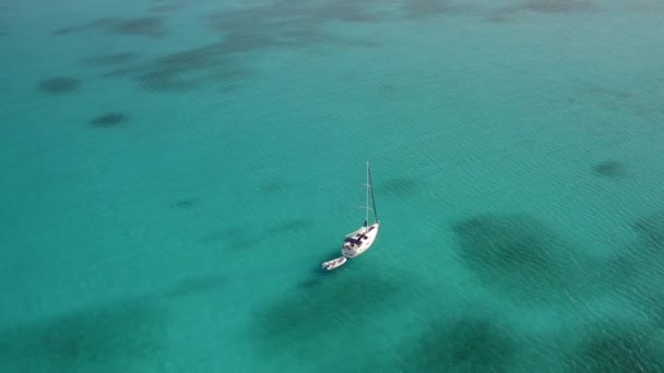 Білий Катер Пливе Біля Блакитної Води Багамського Пляжу Повітря Орбіта — стокове відео
