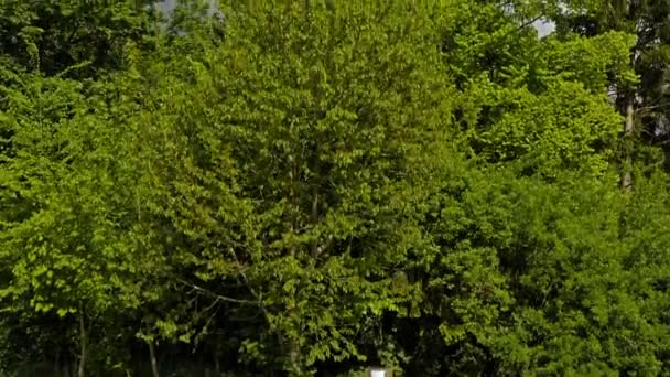 Кран Выстрел Начинается Некоторыми Деревьями Скамейки Поднимаясь Выявить Красивое Широкое — стоковое видео