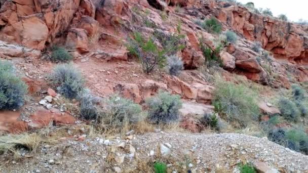 Southern Utah Panorama Intestate Highway — Vídeo de Stock