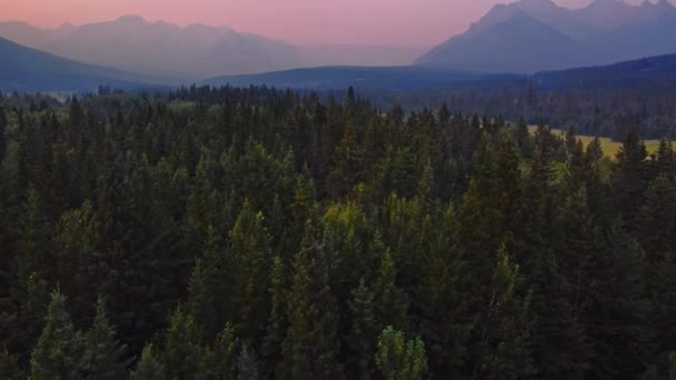 Горы Лес Вечером — стоковое видео