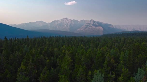 Mountain Range Forest Evening — Stockvideo