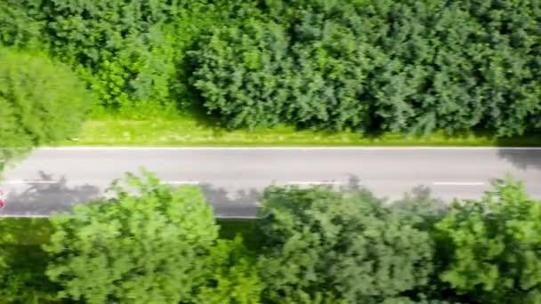 Швидке Керування Червоним Автомобілем Проїжджає Через Зелений Ліс Тягнеться Прямо — стокове відео