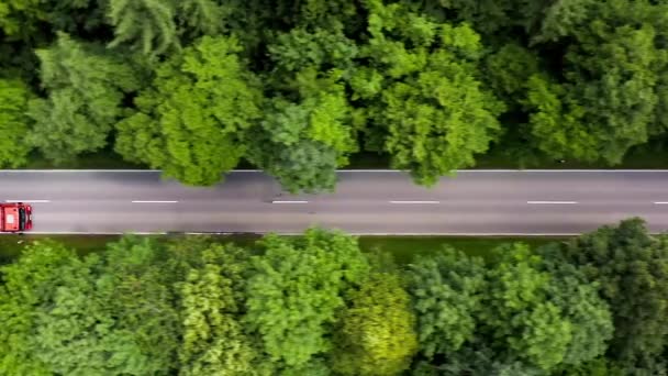 Lorries Driving Fast Straight Street Forest Filmed Travcking Heavy Vehicles — Stockvideo