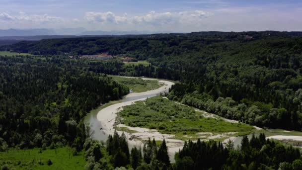 Curvy Isar River Southern Bavaria Beautiful Summer Forest Landscape Typical — Stockvideo