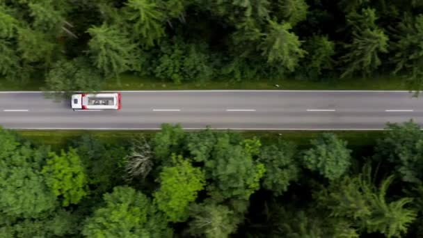 Tracking Big Lorry Driving Straight Street Forest Aerial Shot Drone — Stockvideo