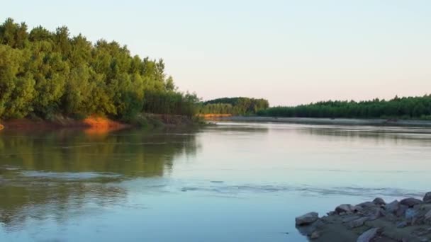 Paysage Tranquille Les Ondulations Eau Dans Rivière Siret Roumanie Timelapse — Video