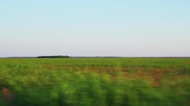 Driving Country Road Passing Beautiful Lush Green Fields Galati Romania — Stockvideo