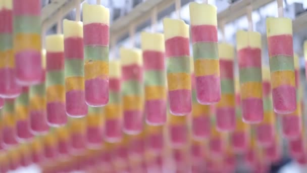 Buzlu Dondurma Fabrikası Üretim Hattında Ilerliyor — Stok video