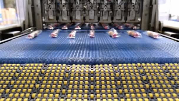 Popsicle Icecream Factory Producing Production Line Icecream Travelling Conveyor — Vídeos de Stock