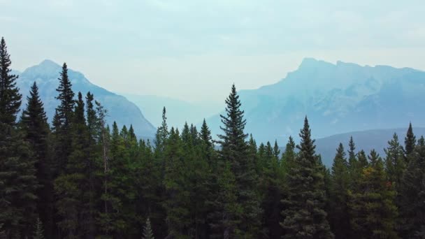 山中湖在森林后面恢复了生机 — 图库视频影像