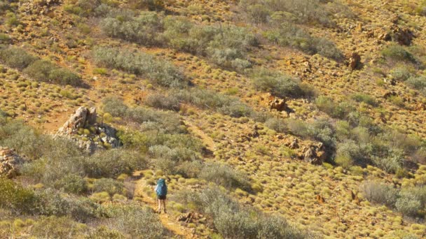 Hiker Walks Desert Bush Landscape Central Australia — 비디오
