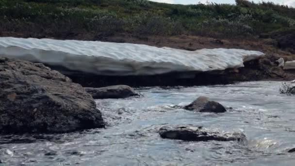 Mountain Stream Melted Snow Jamtlandstriangeln Jamtland County Sweden Close Panning — 图库视频影像