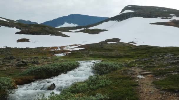 Narrow Stream Flowing Lush Fields Feet Helagsfjallet Mountain Helags Harjedalen — Stockvideo