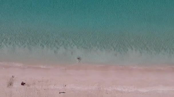 Aerial Drone Top Crystal Clear Turquoise Waters Eagle Bay Western — Video