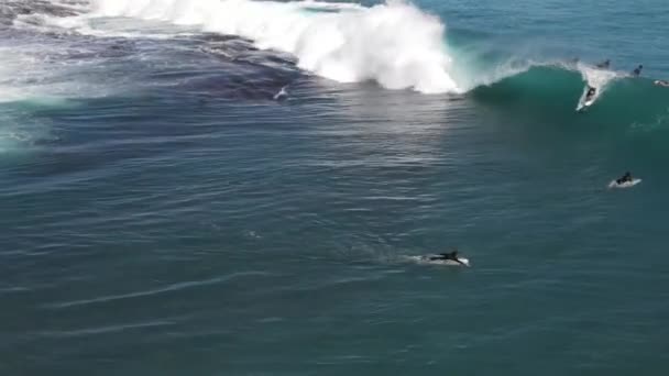 Aerial Drone Footage Surfer Coraz Beczki Jakes Point Kalbarri Australia — Wideo stockowe