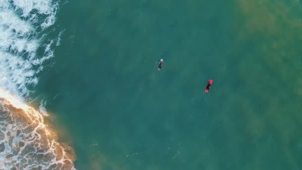 Aerial Overhead View Surfers Paddling Catch Waves Evening Golden Hour — Vídeo de stock