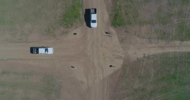 Aerial View 4X4 Pickup Truck Driving Wheat Crops Field Silos — Wideo stockowe
