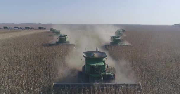 Aerial View Combine Harvesters Collecting Seeds Fields Sunset Background Agriculture — 图库视频影像