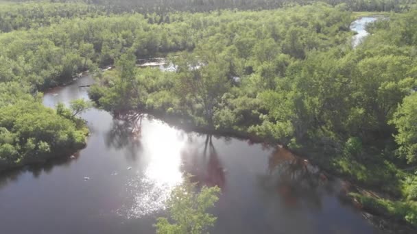 Winding River Dense Forest Cloquet River Minnesota Aerial Drone — Stock Video