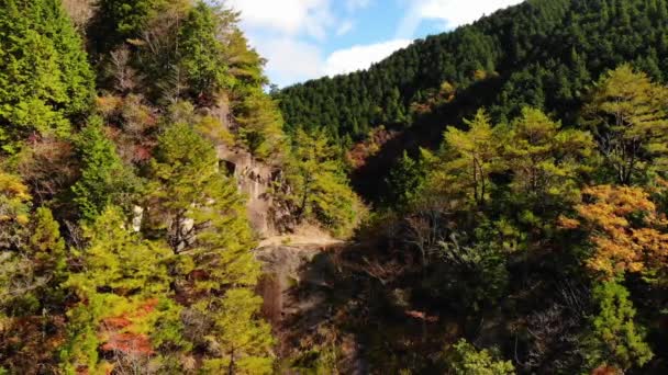 Aerial Drone Hikers Walk Clearing Amongst Forested Hillside Kumano Kodo — Video