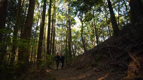 Static Low Angle Couple Walk Camera Shaded Forest Trail — Stok video