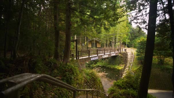 Static Person Walks Overpass Surrounded Forest Kumano Kodo Japan — Stok video