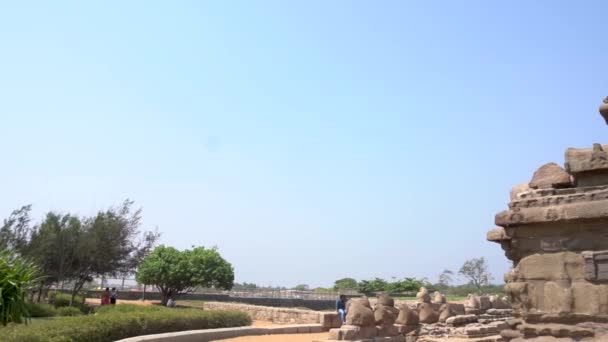 Shore Temple Mahabalipuram Shore Temple Named Because Overlooks Shore Bay — Stok video