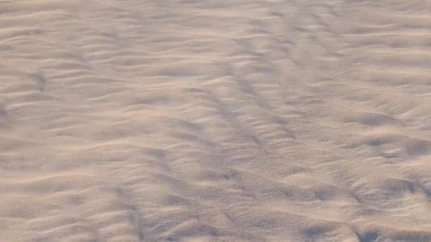 Sand Blowing Desert Sand Ripples Creating Beautiful Pattern — Stock video