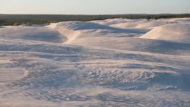 Sand Blowing Sandunes Windy Conditions — Αρχείο Βίντεο