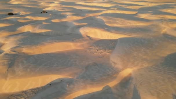 Drone Video Desert Sandunes Sunset — Stock video