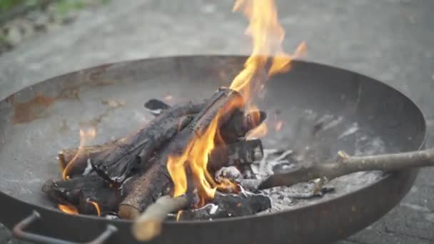 Stoking Campfire Burning Stick Relaxing Summer Holiday — Stock video