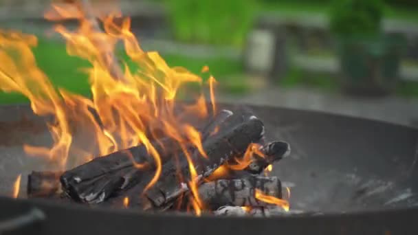 Slow Motion Flaming Log Fire Relaxing Summer Holiday — Stock Video