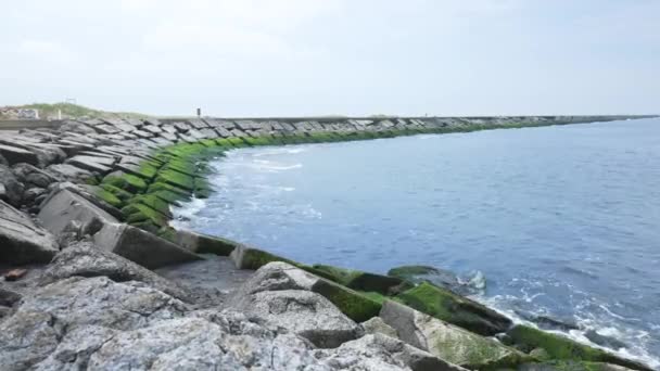 Panning Shot Wave Breaking Rocks Seaside — Wideo stockowe