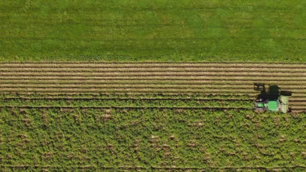 Tractor Harvesting Field Filmed Straight Late Summer Drone Establishing Aerial — Stockvideo