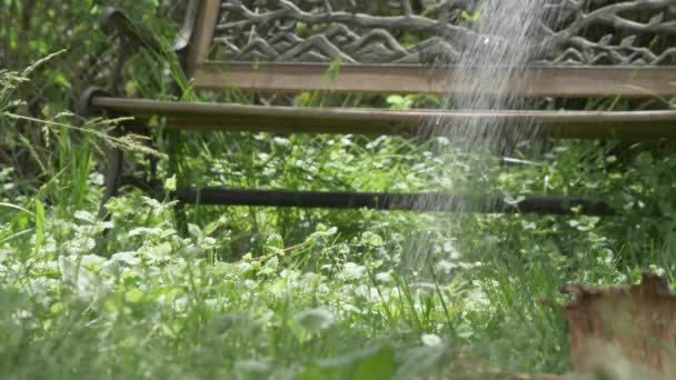 Grass Yard Watered Watering Can Shower Slow Motion — Wideo stockowe