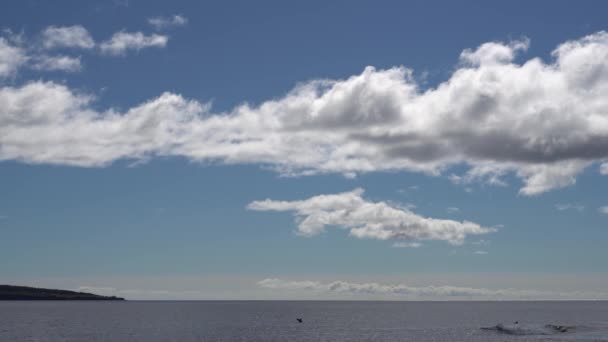 You Can See Prominent Clouds Sky Quiet Sea Left You — Stockvideo