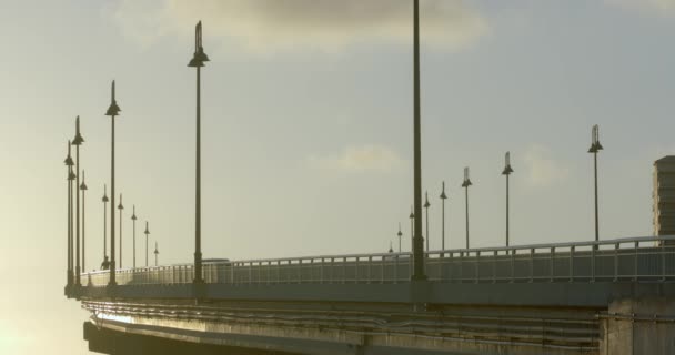 Bridge Traffic Golden Hour Sunlight Person Riding Electric Scooter Palm — Stockvideo