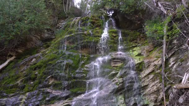 Constant Flow Water Waterfall Creates Scene Meditation You Can See — Wideo stockowe