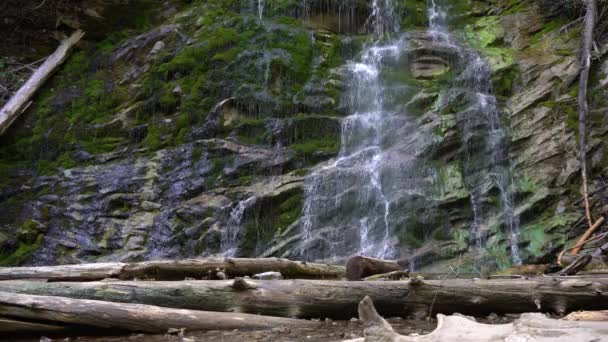 Forefront You Can See Dead Trees Ground Beautiful Waterfall — Stock video