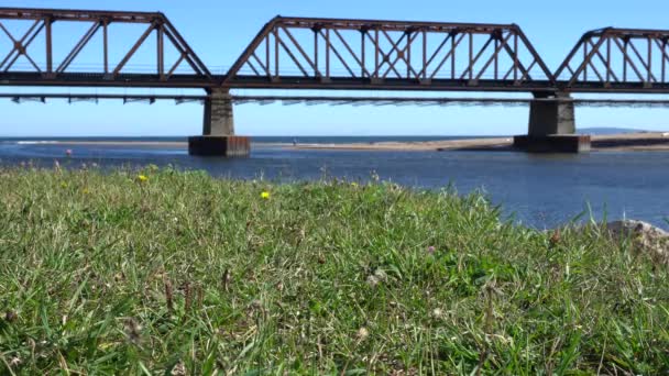 Steel Train Bridge Beautiful Blue Sky You Can Admire Water — Video Stock