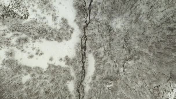 River Stream Flows Snow Covered Winter Forest Aerial Overhead — Vídeo de Stock