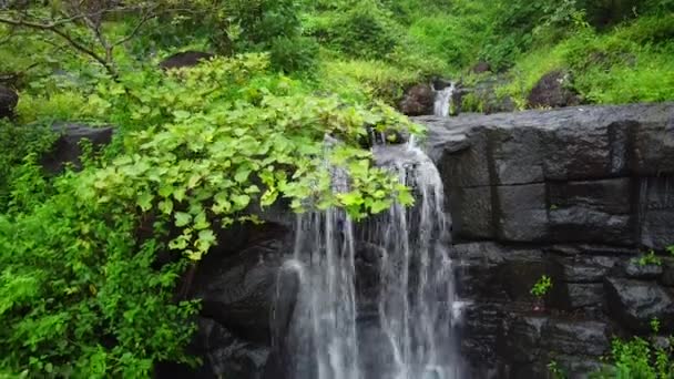 Drohnenschuss Eines Schönen Wasserfalls Auf Dem Hügel Pavagadh Wasserfall Auch — Stockvideo
