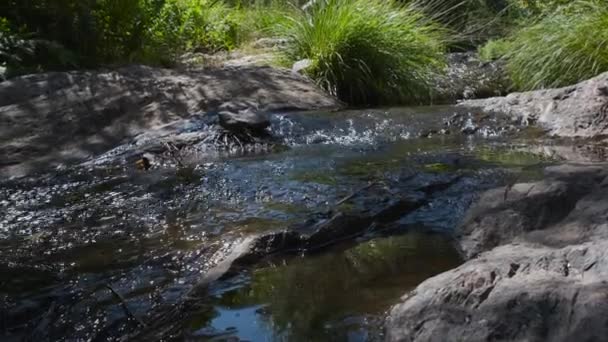 Water Running Rocks Penha Garcia Handheld — стоковое видео
