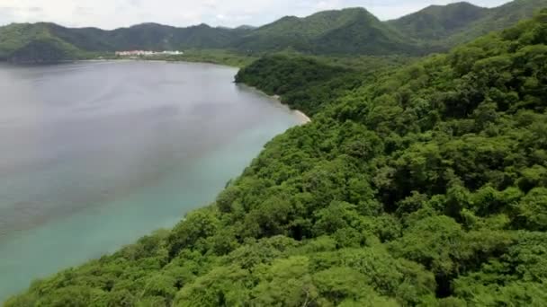 Forest Moutains Surrounded Sea — Stockvideo